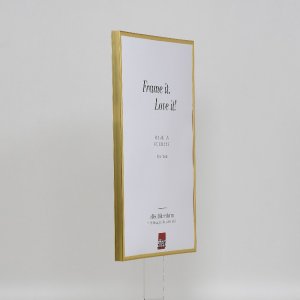 Effect plastic frame Art gold 25x50 cm clear glass