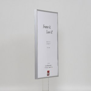 Effect plastic frame Art alulike 25x60 cm clear glass