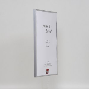 Effect plastic frame Art silver 25x70 cm clear glass