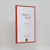 Effect plastic frame Art red 29.7x42 cm clear glass