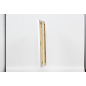 Effect Picture Frame 2310 white 25x60 cm Acrylic Glass Museum Quality