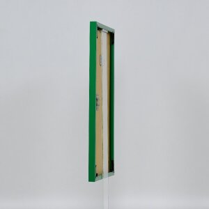 Effect plastic frame Art green 20x30 cm museum glass