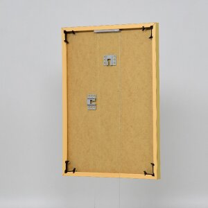 Effect plastic frame Art gold 25x60 cm museum glass