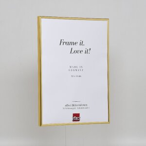 Effect plastic frame Art gold 25x60 cm museum glass