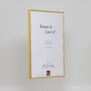 Effect plastic frame Art gold 25x60 cm museum glass