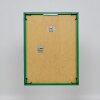 Effect plastic frame Art green 25x70 cm museum glass