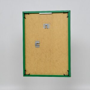 Effect plastic frame Art green 25x80 cm museum glass