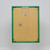 Effect plastic frame Art green 25x80 cm museum glass