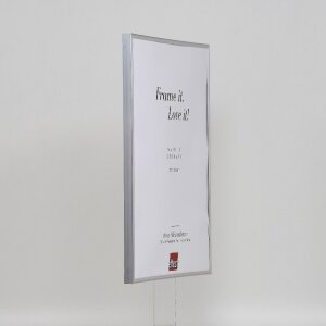 Effect plastic frame Art silver 35x100 cm museum glass