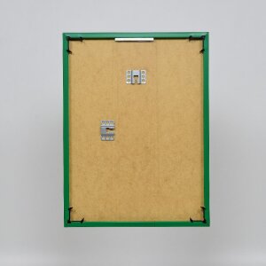 Effect plastic frame Art green 35x100 cm museum glass