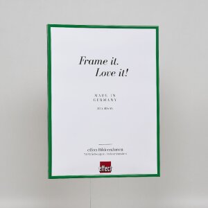 Effect plastic frame Art green 35x100 cm museum glass