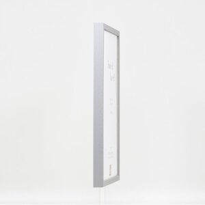 Effect Wooden Frame Profile 35 light grey 25x50 cm Museum Glass