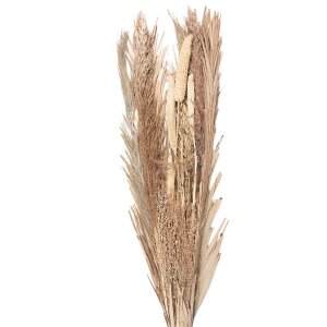 Clayre & Eef 5DF0002 Dried Flower 25x8x100 cm Beige