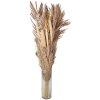 Clayre & Eef 5DF0002 Dried Flower 25x8x100 cm Beige