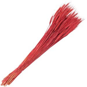 Clayre & Eef 5DF0012 Dried Flowers Wheatgrass 80 cm...