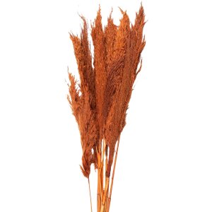 Clayre & Eef 5DF0013 Dried Flowers Bamboo 90 cm (10)...