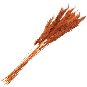 Clayre & Eef 5DF0013 Dried Flowers Bamboo 90 cm (10)...