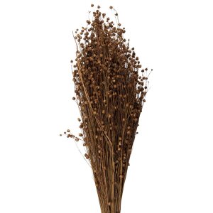 Clayre & Eef 5DF0017 Dried Flowers 60 cm (100 gr) Beige