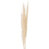 Clayre & Eef 5DF0021 Dried Flowers 90 cm (10) White