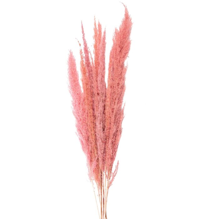 Clayre & Eef 5DF0022 Dried Flowers 100 cm (10) Pink