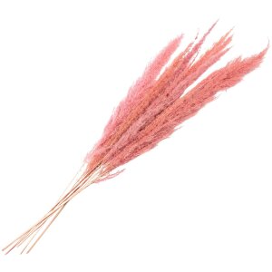 Clayre & Eef 5DF0022 Dried Flowers 100 cm (10) Pink