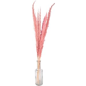 Clayre & Eef 5DF0022 Dried Flowers 100 cm (10) Pink