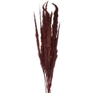 Clayre & Eef 5DF0023 Dried Flowers 100 cm (10) Brown