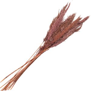 Clayre & Eef 5DF0024 Dried Flowers Bamboo 100 cm (10)...