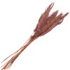 Clayre & Eef 5DF0024 Dried Flowers Bamboo 100 cm (10) Pink