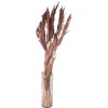 Clayre & Eef 5DF0024 Dried Flowers Bamboo 100 cm (10) Pink