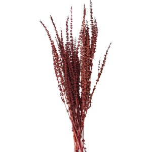 Clayre & Eef 5DF0025 Dried Flowers 85 cm (100 gr) Red