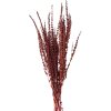 Clayre & Eef 5DF0025 Dried Flowers 85 cm (100 gr) Red