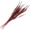 Clayre & Eef 5DF0025 Dried Flowers 85 cm (100 gr) Red