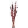 Clayre & Eef 5DF0025 Dried Flowers 85 cm (100 gr) Red