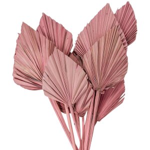 Clayre & Eef 5DF0029 Dried Flowers 55 cm (12) Pink