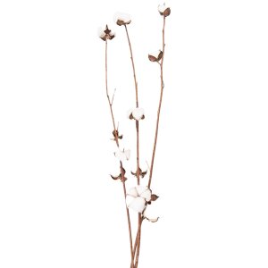 Clayre & Eef 5DF0030 Dried Flowers 80 cm (3) White -...