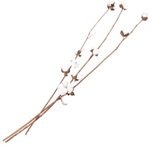 Clayre & Eef 5DF0030 Dried Flowers 80 cm (3) White -...