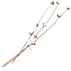 Clayre & Eef 5DF0030 Dried Flowers 80 cm (3) White - Brown