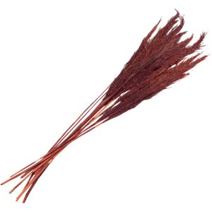 Clayre & Eef 5DF0032 Dried Flowers Bamboo 100 cm (10)...