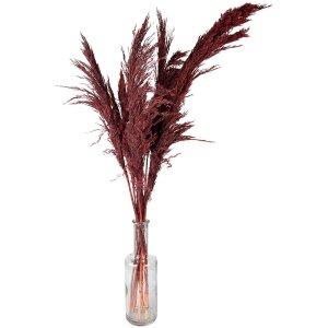 Clayre & Eef 5DF0032 Dried Flowers Bamboo 100 cm (10) Red