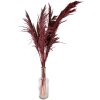 Clayre & Eef 5DF0032 Dried Flowers Bamboo 100 cm (10) Red