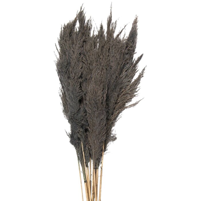 Clayre & Eef 5DF0033 Dried Flowers Bamboo 100 cm (10) Grey