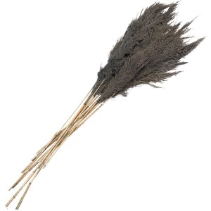 Clayre & Eef 5DF0033 Dried Flowers Bamboo 100 cm (10)...