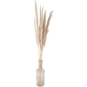 Clayre & Eef 5DF0034 Dried Flowers 100 cm (10) Beige