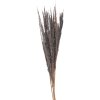 Clayre & Eef 5DF0035 Dried Flowers 100 cm (10) Grey