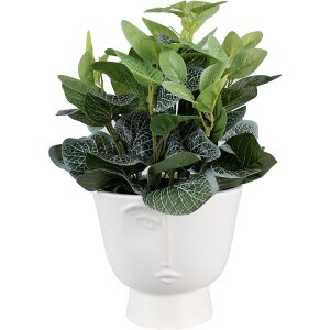 Clayre & Eef 6CE1570L Decoration Flowerpot Ø 17x15 cm White