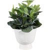 Clayre & Eef 6CE1570L Decoration Flowerpot Ø 17x15 cm White