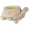 Clayre & Eef 6TE0458 Flowerpot Turtle Ø 22x16x10 cm Beige