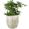 Clayre & Eef 6TE0463M Flowerpot Ø 16x17 cm Green - Beige Round