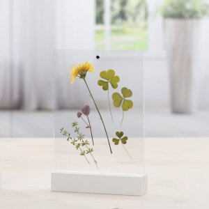 Hama Photo Holder Classic Acrylic 10 x 15 cm